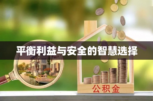 濮阳平衡利益与安全的智慧选择