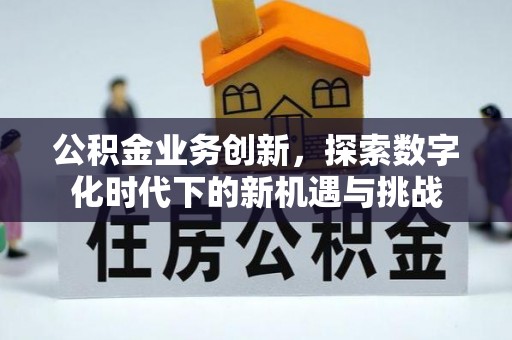濮阳公积金业务创新，探索数字化时代下的新机遇与挑战