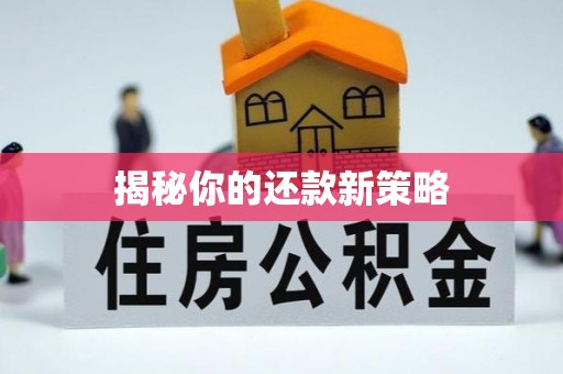濮阳揭秘你的还款新策略