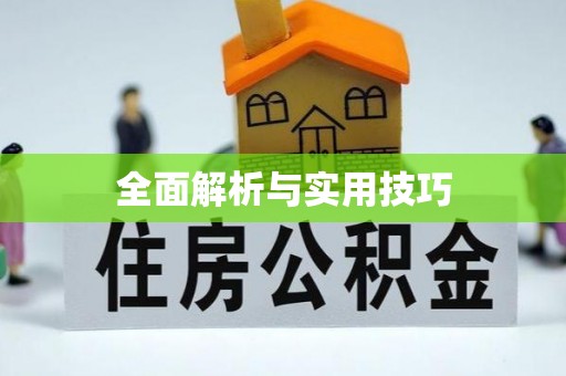 濮阳全面解析与实用技巧