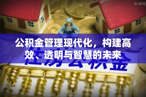 濮阳公积金管理现代化，构建高效、透明与智慧的未来