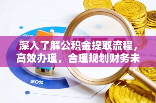 濮阳深入了解公积金提取流程，高效办理，合理规划财务未来
