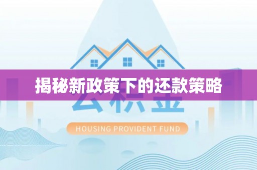 濮阳揭秘新政策下的还款策略