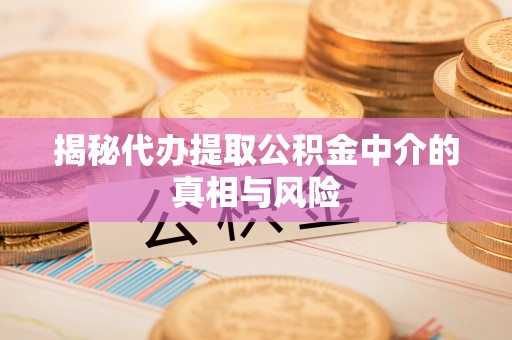濮阳揭秘代办提取公积金中介的真相与风险