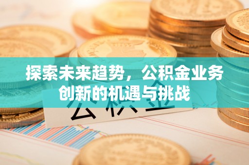 濮阳探索未来趋势，公积金业务创新的机遇与挑战