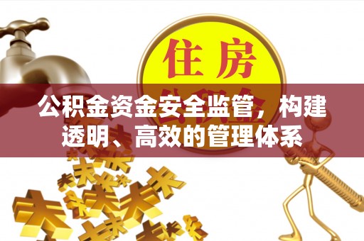 濮阳公积金资金安全监管，构建透明、高效的管理体系