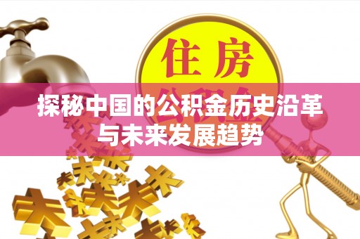 濮阳探秘中国的公积金历史沿革与未来发展趋势