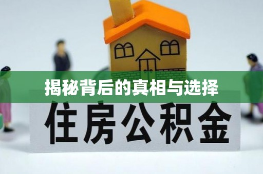 濮阳揭秘背后的真相与选择