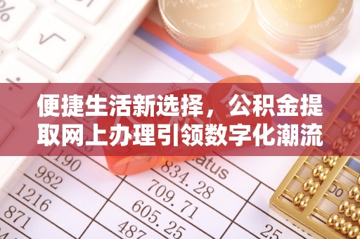 濮阳便捷生活新选择，公积金提取网上办理引领数字化潮流