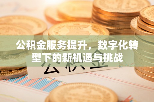 濮阳公积金服务提升，数字化转型下的新机遇与挑战