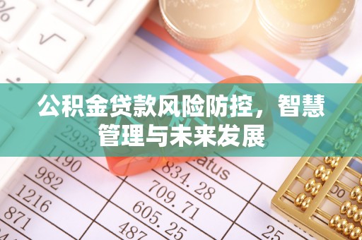 濮阳公积金贷款风险防控，智慧管理与未来发展