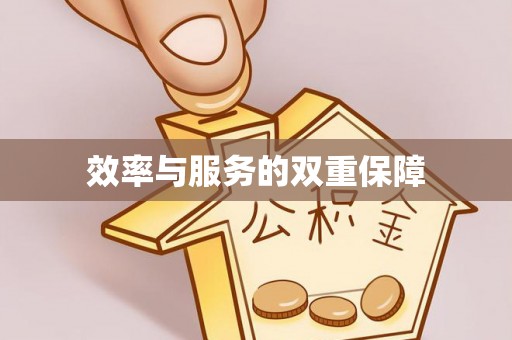 濮阳效率与服务的双重保障