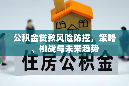濮阳公积金贷款风险防控，策略、挑战与未来趋势