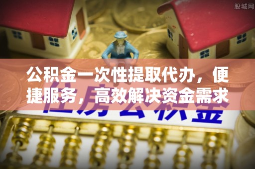 濮阳公积金一次性提取代办，便捷服务，高效解决资金需求