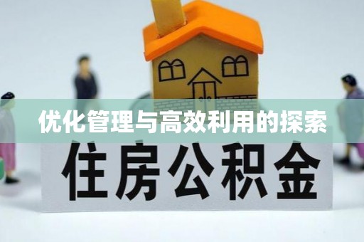 濮阳优化管理与高效利用的探索
