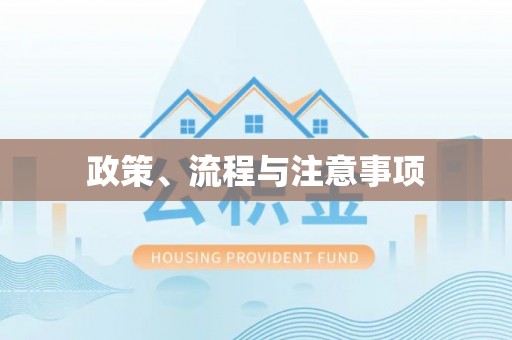 濮阳政策、流程与注意事项