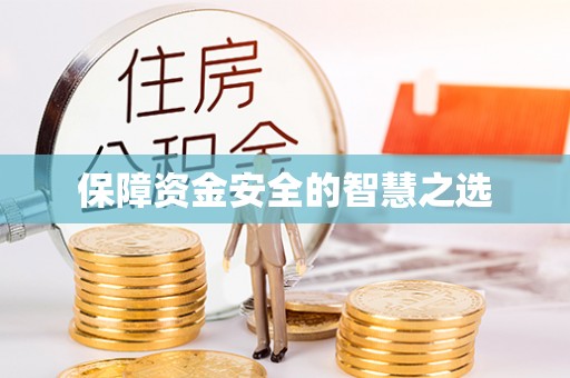 濮阳保障资金安全的智慧之选