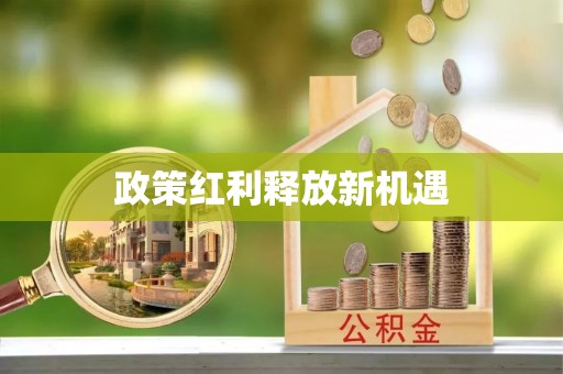 濮阳政策红利释放新机遇