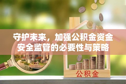 濮阳守护未来，加强公积金资金安全监管的必要性与策略