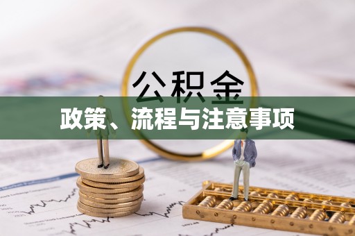濮阳政策、流程与注意事项