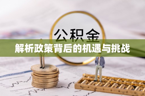 濮阳解析政策背后的机遇与挑战