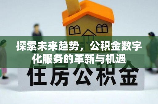 濮阳探索未来趋势，公积金数字化服务的革新与机遇
