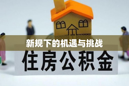 濮阳新规下的机遇与挑战