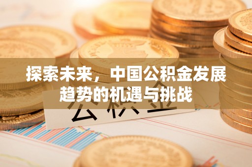 濮阳探索未来，中国公积金发展趋势的机遇与挑战