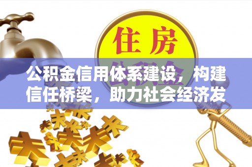 濮阳公积金信用体系建设，构建信任桥梁，助力社会经济发展