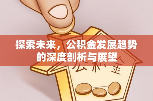 濮阳探索未来，公积金发展趋势的深度剖析与展望
