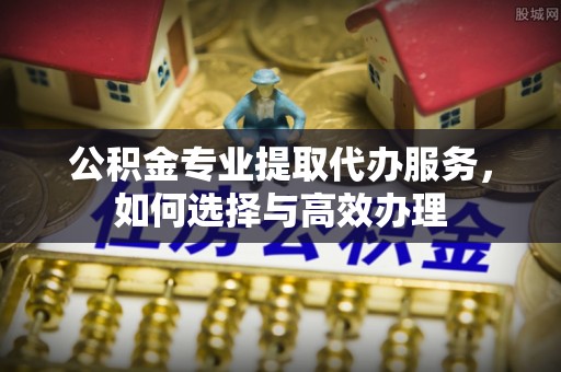 濮阳公积金专业提取代办服务，如何选择与高效办理
