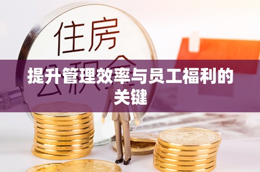 濮阳提升管理效率与员工福利的关键