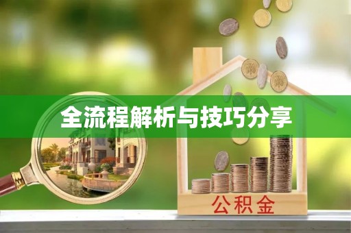 濮阳全流程解析与技巧分享