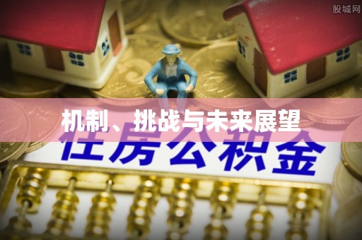 濮阳机制、挑战与未来展望
