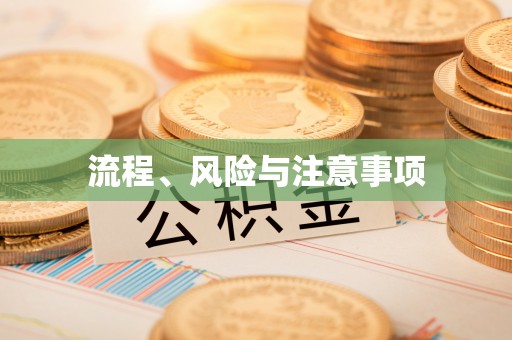 濮阳流程、风险与注意事项